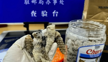 南京海关查获一罐生腌响尾蛇，网友懵了：生腌什么？