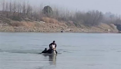 入江救人的白龙马走了，但挺身而出的侠义永远激荡人心