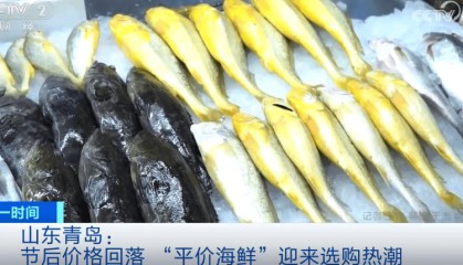 价格“大跳水”！你爱吃的“它”，卖爆了