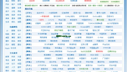 包含BCH网站的词条