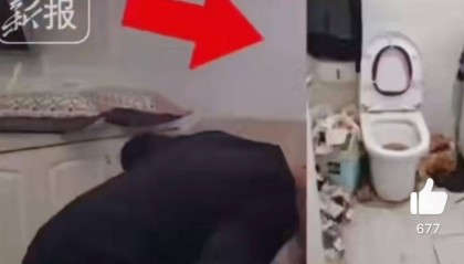 00后女孩租房半年，房东4天清出7车垃圾！网友：直接住垃圾场吧