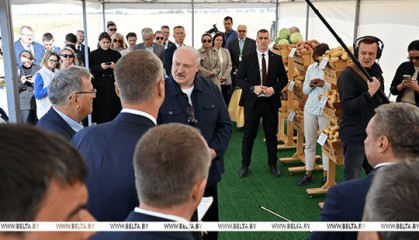 卢卡申科透露：将带土豆前往中国，作为礼物赠予一些国家领导人