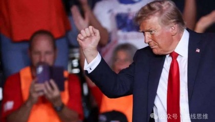 特朗普是铁拳，哈里斯是戴着天鹅绒手套的铁拳