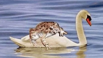 不要吃！含剧毒！无解药！已有人因此身亡…