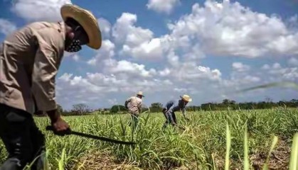 “胜利钟声”敲响？古巴被美封锁60多年，终于被踢出局！中方回应亮了