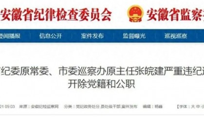 严重违纪违法，安徽3名干部被“双开”