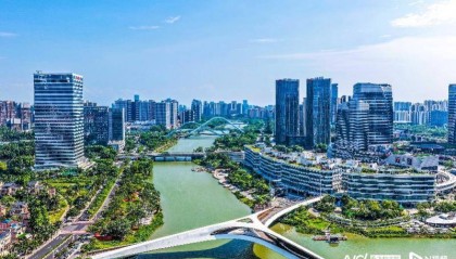 人口净增长超11万，青年人为什么选择南沙？