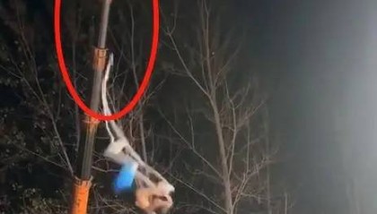 杂技演员表演时高空坠落致重伤，民间艺人明知危险也停不下来