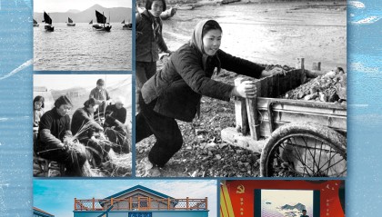 第一视点丨蚂蚁岛上的“垦”与“啃”