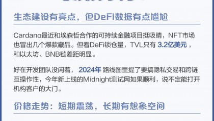 ADA交易网站(adaf交易平台怎么样)