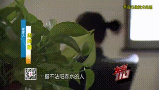 “从小不缺钱，父母百依百顺”，53岁啃老女花光父亲遗产后，又盯上……