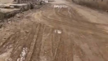 西安男童遭恶犬咬伤续：家属称接到犬主方来电，治疗已花7万