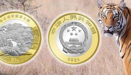 东北虎豹币300万人抢约，外挂猖獗，行情恐不如京剧币！