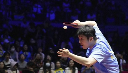 乒超联赛丨樊振东一日四战全胜 王楚钦率队豪取两连胜
