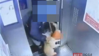 平台回应“外卖员从26楼将猫扔下摔死”：已永久清退涉事人员