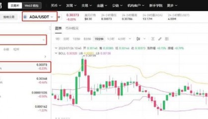 艾达币网站(艾达币实时价格)