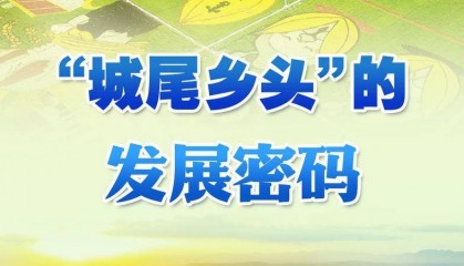 习近平总书记关切事丨“城尾乡头”的发展密码