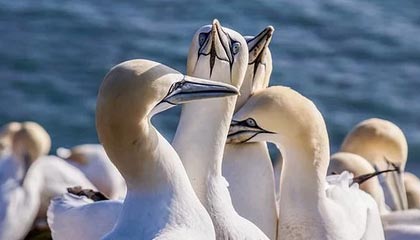 雷军回应凌晨5点到武大拍照:担心白天人太多