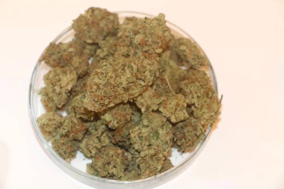 注意防范人偏肺病毒！更要远离它们，尤其是最后一种！