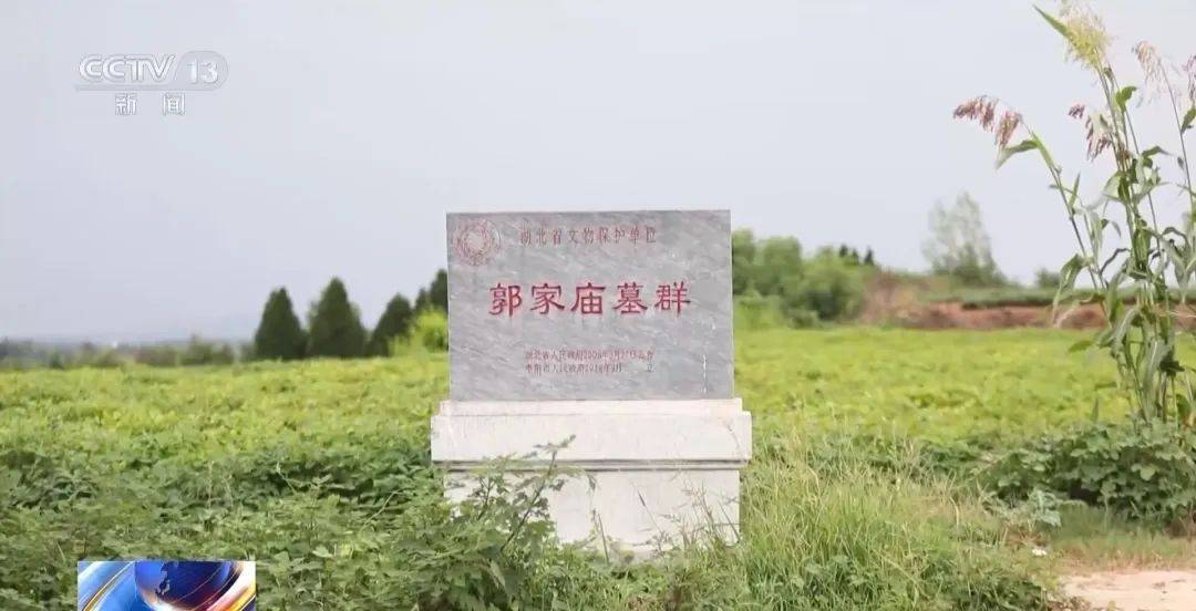 湖北警方破获特大盗墓案:嫌犯看小说学盗墓,挖走20件青铜器国宝,警方扮成“实力买家”接近,大量细节曝光