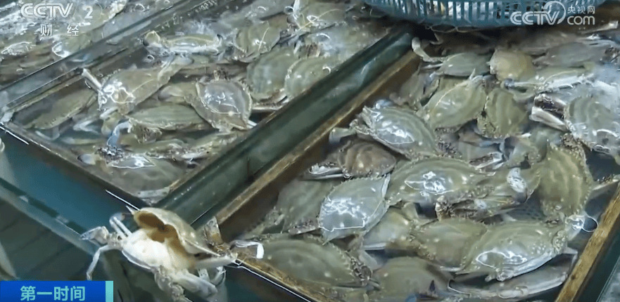 价格“大跳水”!你爱吃的“它”,卖爆了