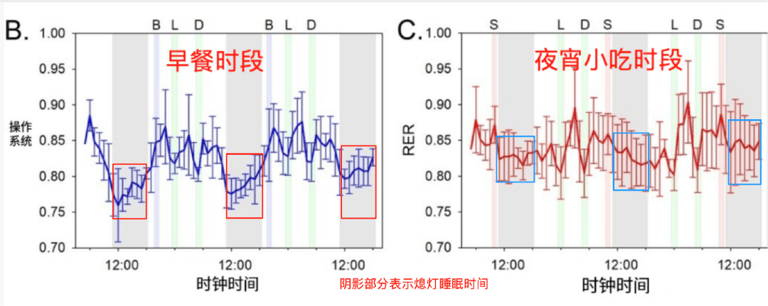 人生建议:女性早餐真应该多吃点脂肪!