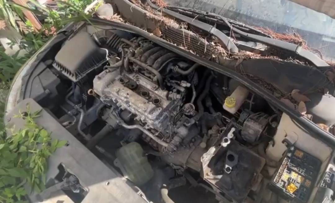 浙江男子把私家车停路边两年,一次也没去看过!如今要用车时傻眼:还能这样?