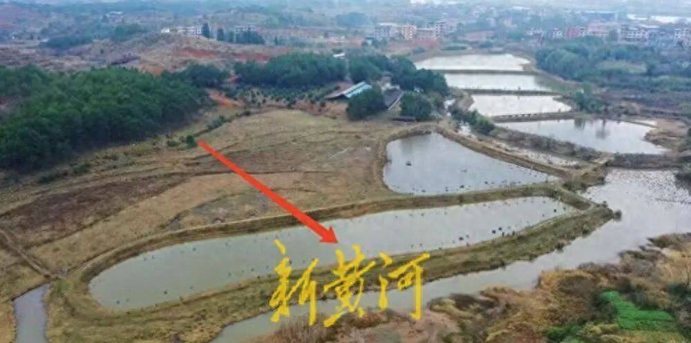 65岁农妇荒塘养鱼被判“非法占用农地”:羁押10月后免刑,仍喊“我没罪”