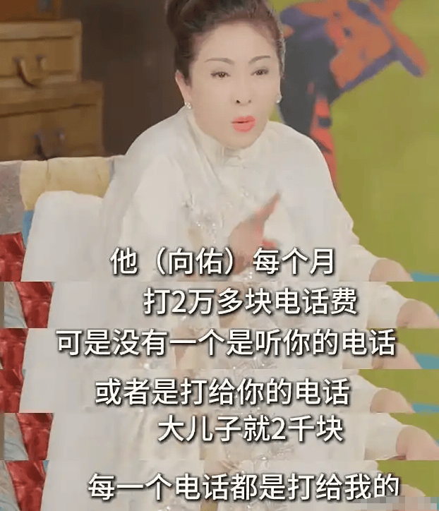 考古 | 向太小儿子向佑罕见露面!曾惹怒大佬高呼我爸是向华强,与母亲决裂真相曝光
