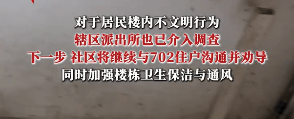 7楼业主因反对加装电梯养200多只猫报复邻居，邻居：这人从不清理粪便，垃圾铺满楼道，墙上喷满侮辱性文字，还往地上撒纸钱，警方介入调查